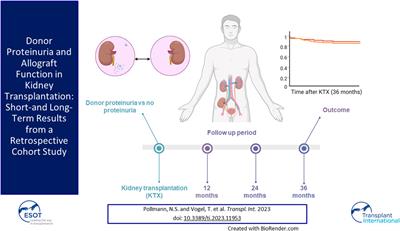 Donor Proteinuria and Allograft Function in Kidney Transplantation: Short- and Long-Term Results From a Retrospective Cohort Study